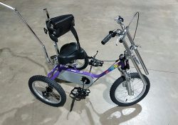 rear-steering-assembly