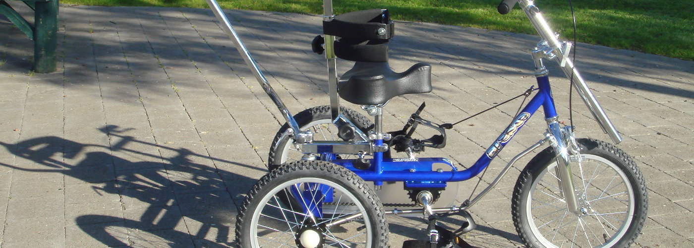 STANDARD THERAPEUTIC TRICYCLES